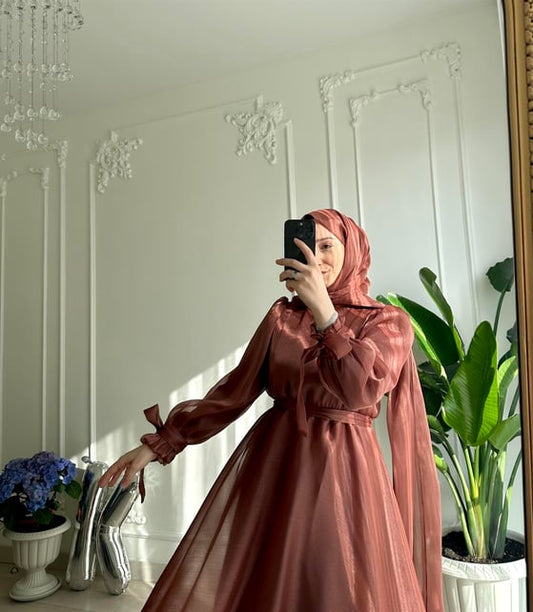 Elegant Dark Brown Sheer Modest Dress